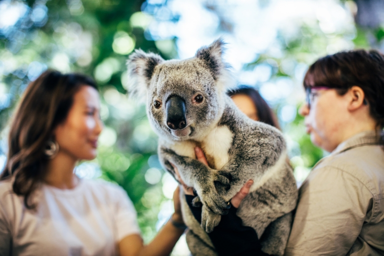 Currumbin Wildlife Sanctuary, Gold Coast, Queensland © Destination Gold Coast Currumbin Wildlife Sanctuary, Gold Coast, Queensland © Destination Gold Coast