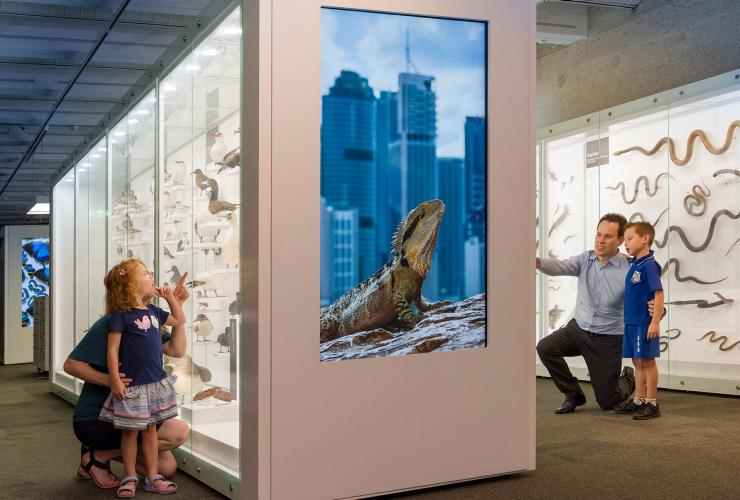 Discovery Centre, Queensland Museum, QLD © Queensland Museum Network Discovery Centre, Queensland Museum, QLD © Queensland Museum Network