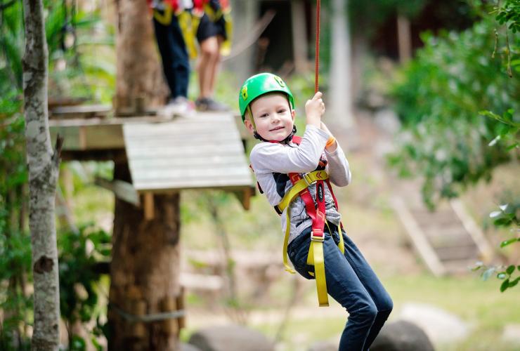 Treetop Challenge, Tamborine Mountain, QLD © Treetop Challenge Treetop Challenge, Tamborine Mountain, QLD © Treetop Challenge