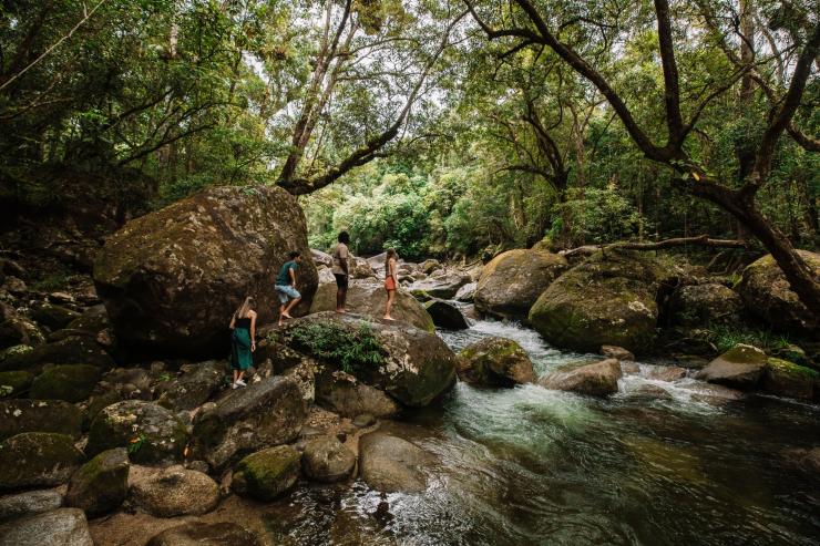 Grup yang turut serta dalam pengalaman Dreamtime Walk berpemandu © Tourism and Events Queensland Grup yang turut serta dalam pengalaman Dreamtime Walk berpemandu © Tourism and Events Queensland