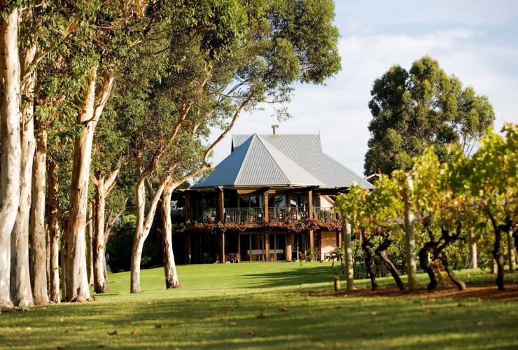 Vasse Felix winery, Margaret River region, WA © Vasse Felix Vasse Felix winery, Margaret River region, WA © Vasse Felix