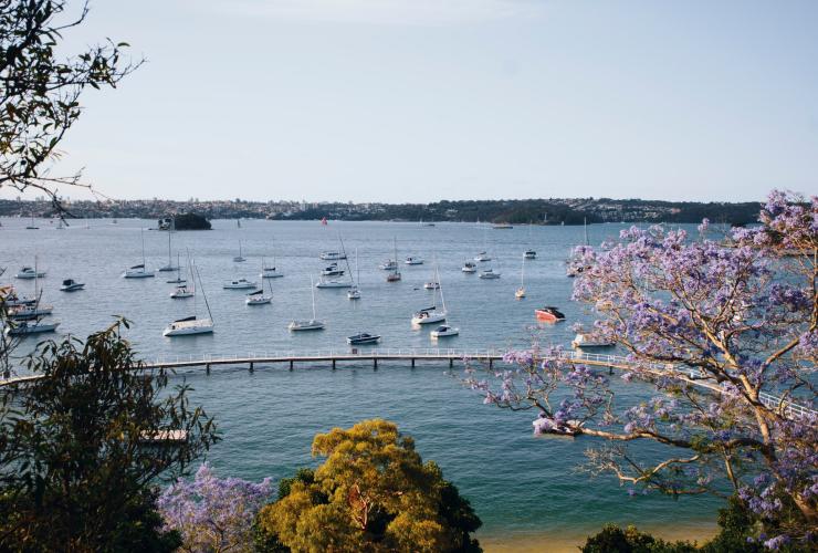 Murray Rose Pool, Redleaf Beach, Double Bay, New South Wales © Destination NSW Murray Rose Pool, Redleaf Beach, Double Bay, New South Wales © Destination NSW