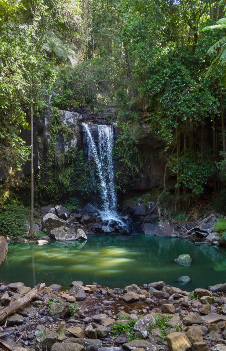 Pasangan memandang air terjun Curtis Falls di Tamborine National Park © Destination Gold Coast Pasangan memandang air terjun Curtis Falls di Tamborine National Park © Destination Gold Coast