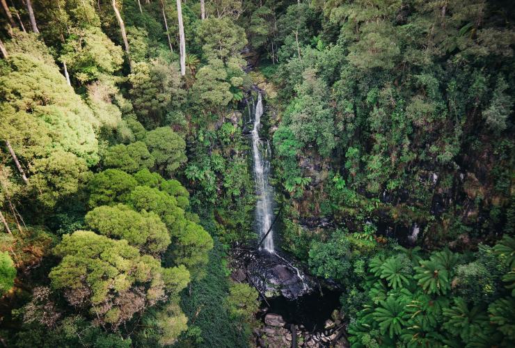 Pemandangan air terjun Erskine Falls dari udara di dekat Lorne © Visit Victoria Pemandangan air terjun Erskine Falls dari udara di dekat Lorne © Visit Victoria