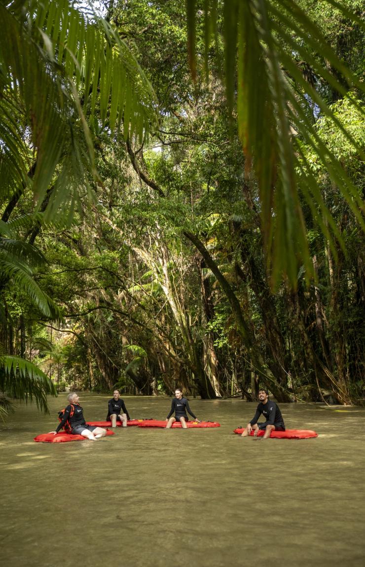 Wisata Bersnorkel Menyusuri Sungai dengan Back Country Bliss Adventures, Daintree Rainforest, Queensland © Tourism and Events Queensland