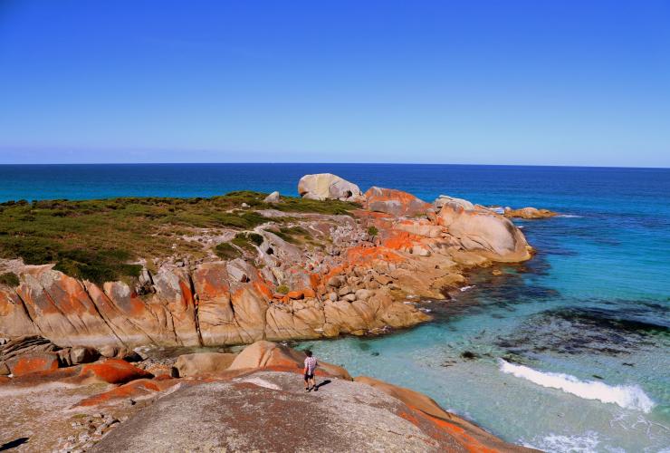 Bay of Fires, East Coast, TAS © Great Walks of Australia Bay of Fires, East Coast, TAS © Great Walks of Australia