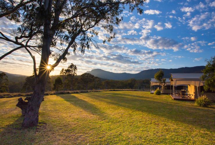 Scenic Rim Trail by Spicers, Spicers Canopy Camp, Main Range National Park, QLD © Spicers Retreats, Great Walks of Australia Scenic Rim Trail by Spicers, Spicers Canopy Camp, Main Range National Park, QLD © Spicers Retreats, Great Walks of Australia