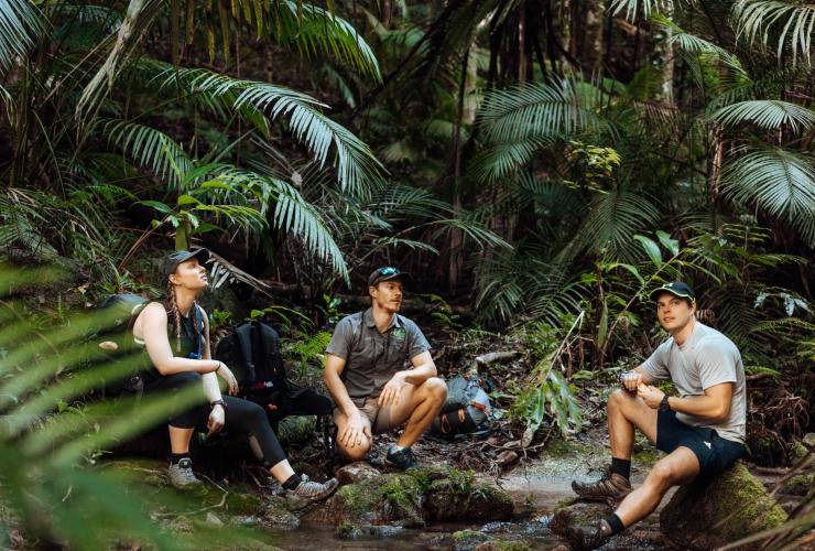 Penjelajah alam berjongkok di Lamb Range di Cairns © FNQ Nature Tours Penjelajah alam berjongkok di Lamb Range di Cairns © FNQ Nature Tours