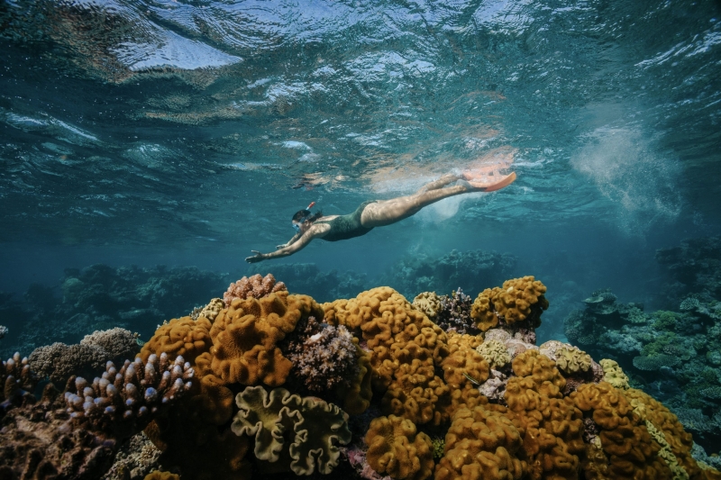 Dreamtime Dive and Snorkel, Cairns, Queensland © Tourism Australia Dreamtime Dive and Snorkel, Cairns, Queensland © Tourism Australia