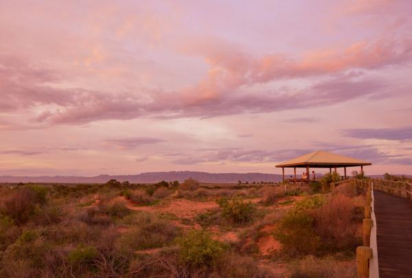 Arid Lands National Park, Port Augusta, SA © South Australian Tourism Commission