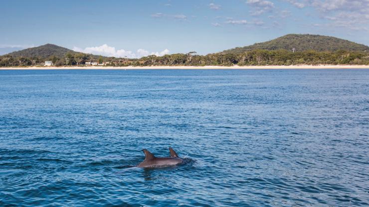 Nelson Bay, Port Stephens, NSW © Destination NSW Nelson Bay, Port Stephens, NSW © Destination NSW