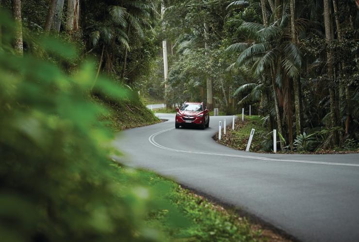 Canungra Valley, Gold Coast, Queensland © Tourism and Events Queensland Canungra Valley, Gold Coast, Queensland © Tourism and Events Queensland