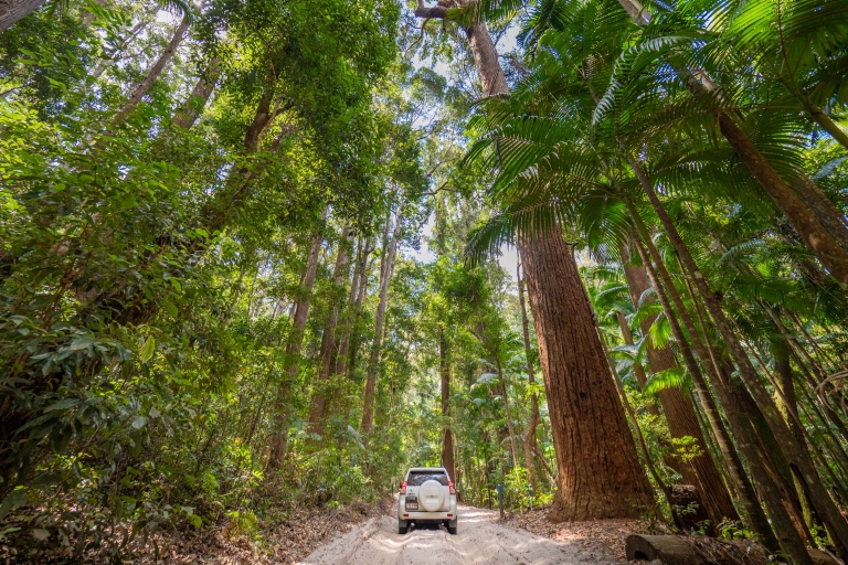 Pile Valley, Fraser Island, Queensland © Tourism Australia Pile Valley, Fraser Island, Queensland © Tourism Australia
