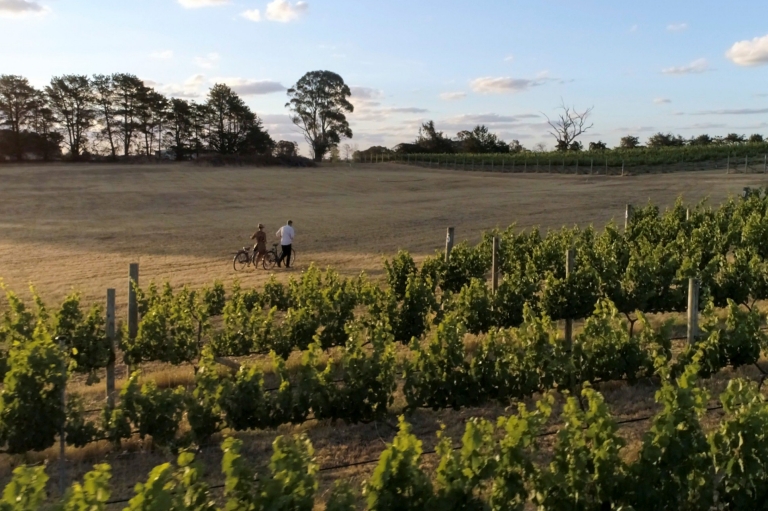 Due persone passeggiano spingendo le biciclette lungo il vigneto Clonakilla, Murrumbateman, New South Wales © Destination NSW Due persone passeggiano spingendo le biciclette lungo il vigneto Clonakilla, Murrumbateman, New South Wales © Destination NSW