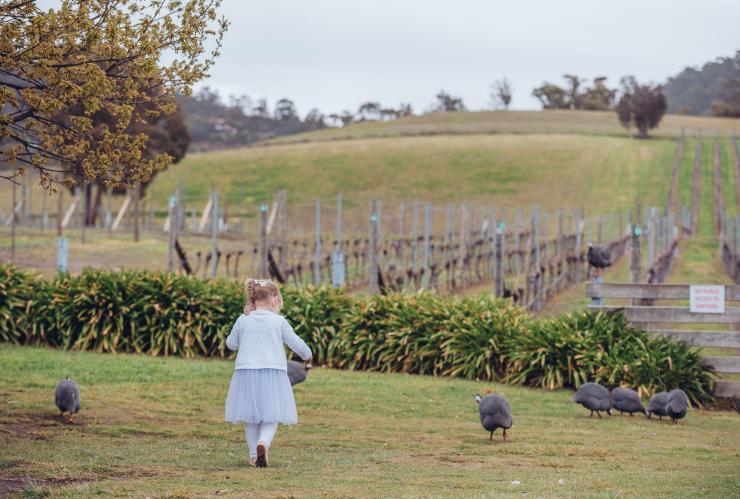 Ragazza presso la Puddleduck Vineyard di Richmond, Tasmania © Sarah Ryan Photography Ragazza presso la Puddleduck Vineyard di Richmond, Tasmania © Sarah Ryan Photography