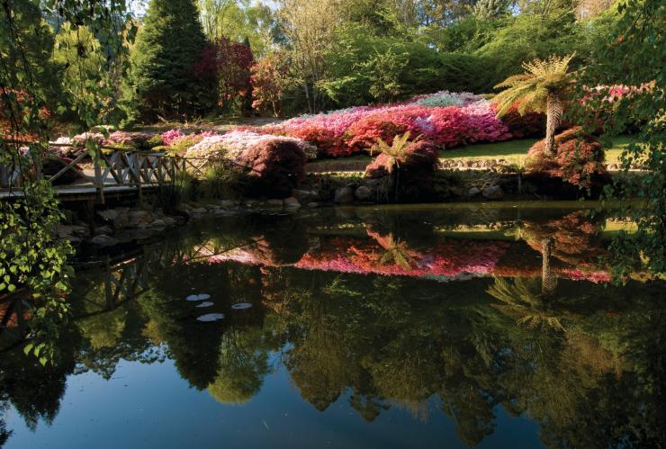 National Rhododendron Gardens, Olinda, Victoria © Parks Victoria National Rhododendron Gardens, Olinda, Victoria © Parks Victoria