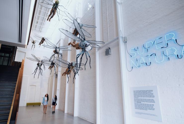 Mostra d'arte SUPERNATURAL alla White Rabbit Gallery, Chippendale, Sydney, New South Wales © Destination NSW Mostra d'arte SUPERNATURAL alla White Rabbit Gallery, Chippendale, Sydney, New South Wales © Destination NSW