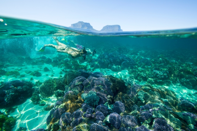 Lord Howe Island, New South Wales © Trevor King, Destination New South Wales Lord Howe Island, New South Wales © Trevor King, Destination New South Wales