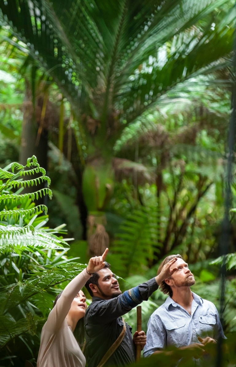 Aboriginal Heritage Walk ai Royal Botanic Gardens, Melbourne, Victoria © Tourism Australia