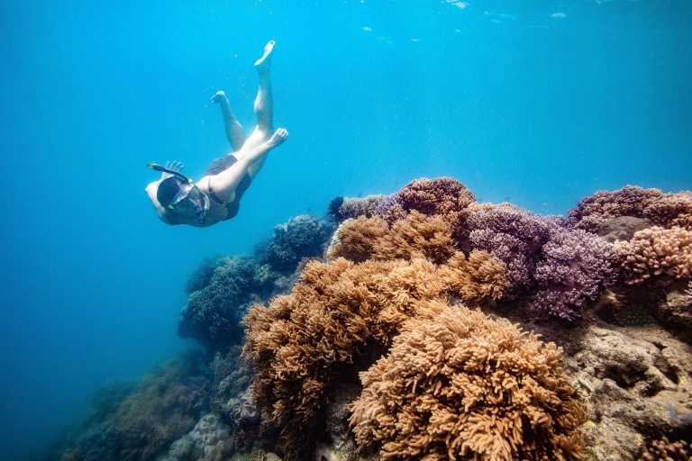 Red Cat Adventures, Whitsunday, Queensland © Tourism Australia