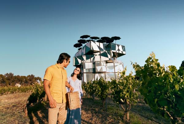 Coppia con cestino da picnic di fronte al d'Arenberg Cube nella McLaren Vale © Tourism Australia