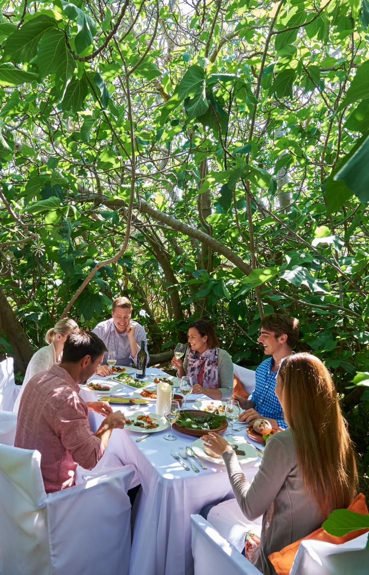 Un gruppo di persone che pranzano tra le foglie verdi lussureggianti del gigantesco albero di fico all'Enchanted Fig Tree, Hannaford and Sachs. Kangaroo Island, South Australia © Adam Bruzzone  Un gruppo di persone che pranzano tra le foglie verdi lussureggianti del gigantesco albero di fico all'Enchanted Fig Tree, Hannaford and Sachs. Kangaroo Island, South Australia © Adam Bruzzone