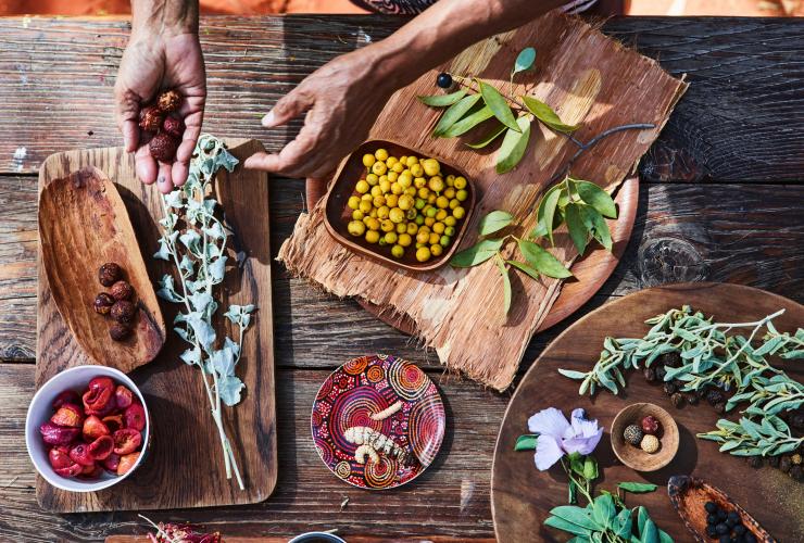 Esposizione dei tipici ingredienti del bush tucker © Voyages Esposizione dei tipici ingredienti del bush tucker © Voyages