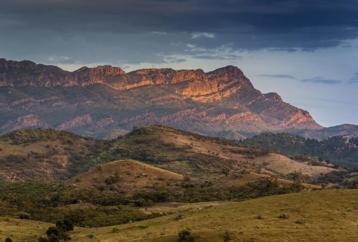 Arkaba Private Wildlife Conservancy, Flinders Ranges, South Australia © Arkaba Private Wildlife Conservancy Arkaba Private Wildlife Conservancy, Flinders Ranges, South Australia © Arkaba Private Wildlife Conservancy