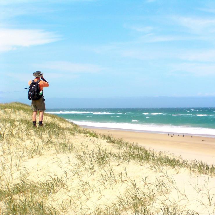 Birdwatcher sulla spiaggia lungo la Great Ocean Road © Echidna Walkabout Tours/Visit Victoria Birdwatcher sulla spiaggia lungo la Great Ocean Road © Echidna Walkabout Tours/Visit Victoria