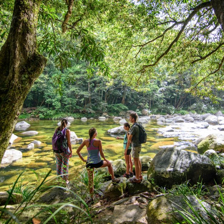 Partecipanti a un tour di gruppo che ammirano il panorama sopra il Mossman River nel Daintree National Park © FNQ Nature Tours Partecipanti a un tour di gruppo che ammirano il panorama sopra il Mossman River nel Daintree National Park © FNQ Nature Tours