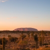 Un grande monolite di roccia rossa emerge dal paesaggio piatto dell'outback a Uluru, Uluru-Kata Tjuta National Park, Northern Territory © Tourism Australia