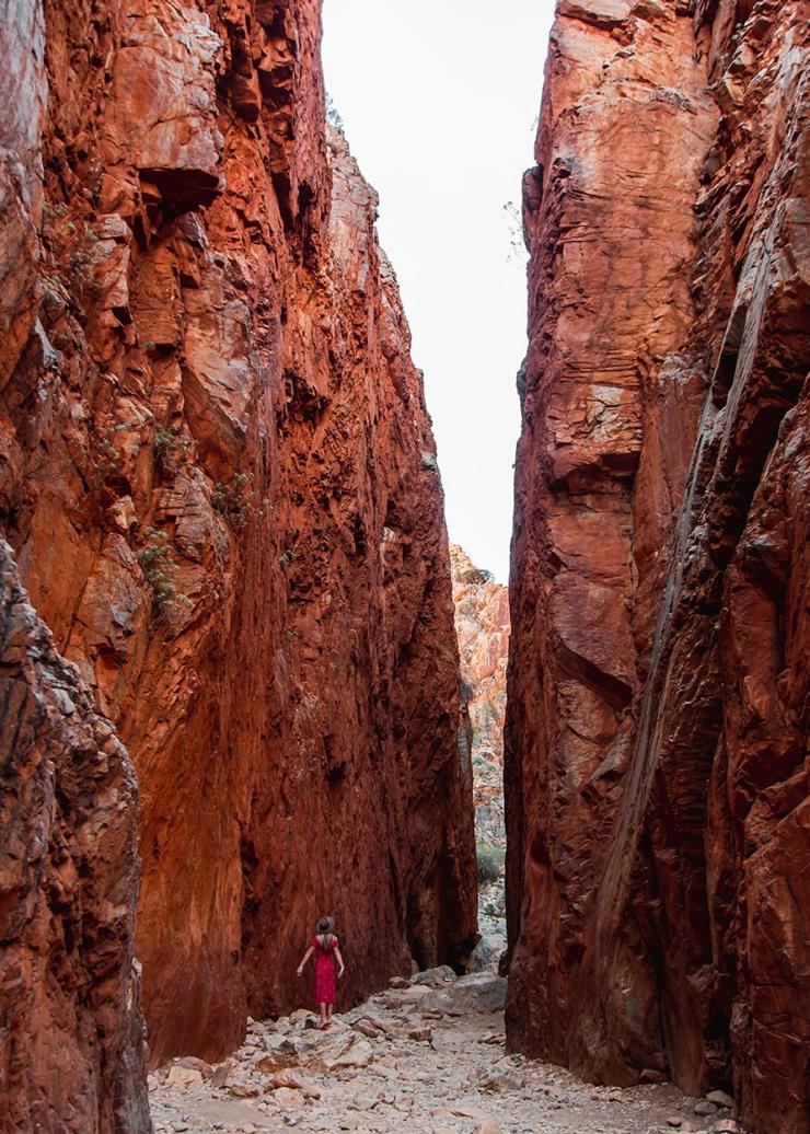 Donna che cammina vicino la gola, Standley Chasm, West Macdonell Ranges, Northern Territory © Tourism Australia Donna che cammina vicino la gola, Standley Chasm, West Macdonell Ranges, Northern Territory © Tourism Australia