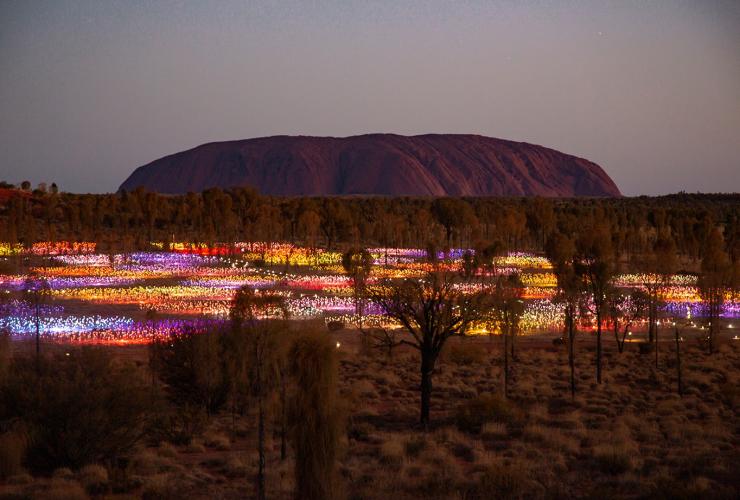 Field of Light, Uluṟu-Kata Tjuta National Park, Northern Territory © Tourism Australia Field of Light, Uluṟu-Kata Tjuta National Park, Northern Territory © Tourism Australia