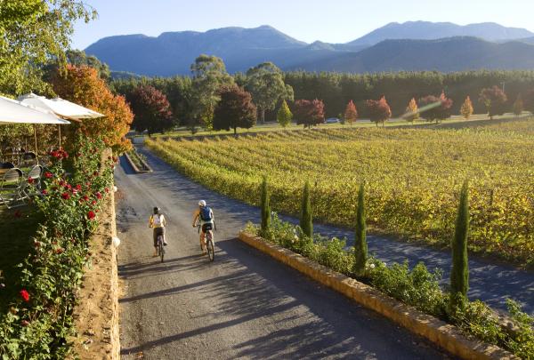 In bicicletta lungo le vigne dell'azienda vinicola Boyntons Feathertop © Victorian Wine Industry Association