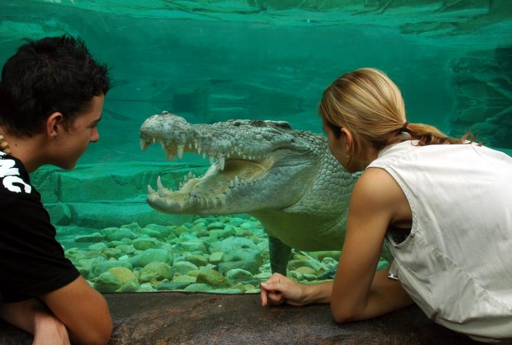 Cairns ZOOM & Wildlife Dome, Cairns, Queensland © Cairns Zoom Wildlife Dome Cairns ZOOM & Wildlife Dome, Cairns, Queensland © Cairns Zoom Wildlife Dome