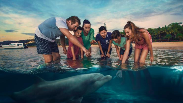 Nutrire un delfino selvatico al Tangalooma Island Resort, Moreton Island, Queensland © Brisbane Marketing Nutrire un delfino selvatico al Tangalooma Island Resort, Moreton Island, Queensland © Brisbane Marketing