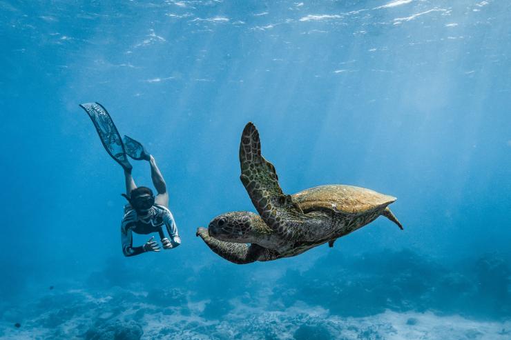 Un subacqueo e una tartaruga sott'acqua, Cocos Islands © Cocos Keeling Islands Tourism Association