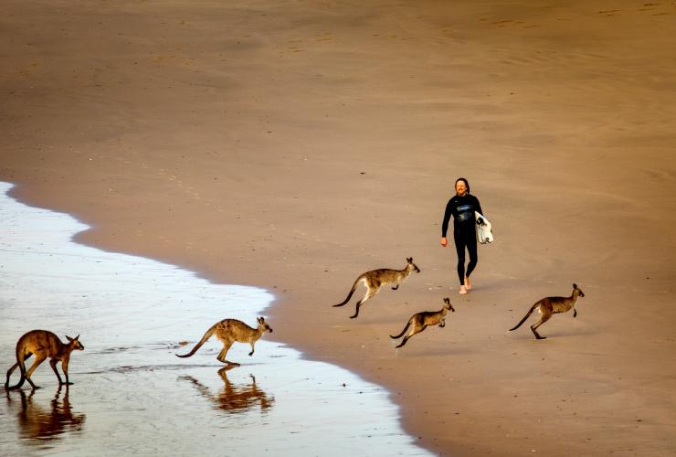 Emerald Beach, Coffs Coast, New South Wales © ST Surf Images Emerald Beach, Coffs Coast, New South Wales © ST Surf Images