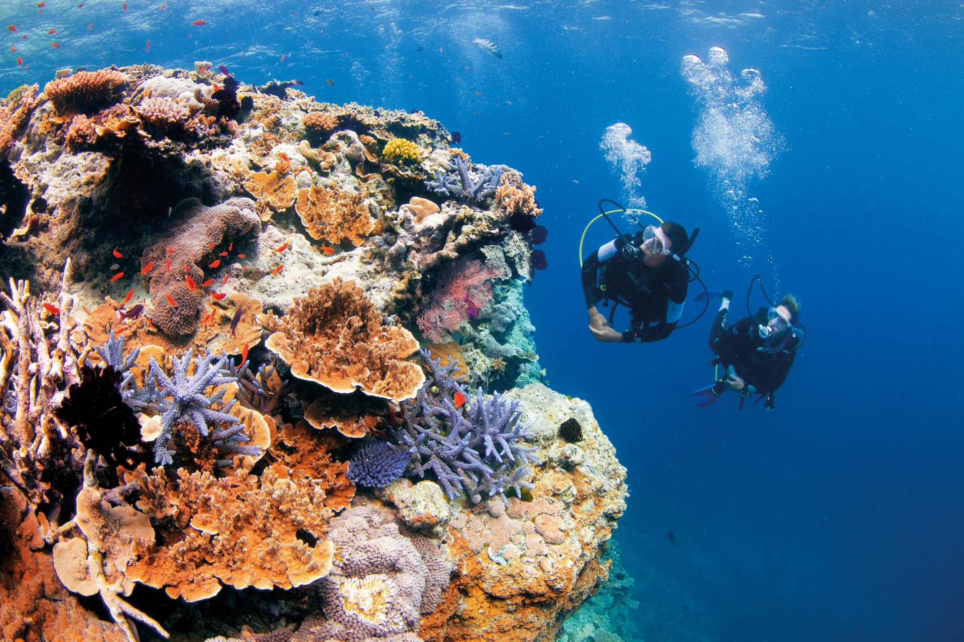 Pixies Garden, Grande Barriera Corallina, Queensland © Tourism and Events Queensland