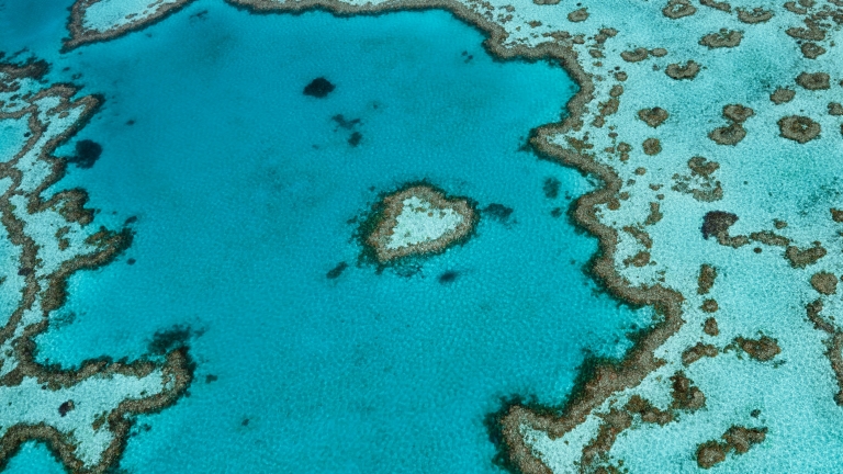 Heart Reef, Great Barrier Reef, QLD. © Tourism and Events Queensland Heart Reef, Great Barrier Reef, QLD. © Tourism and Events Queensland