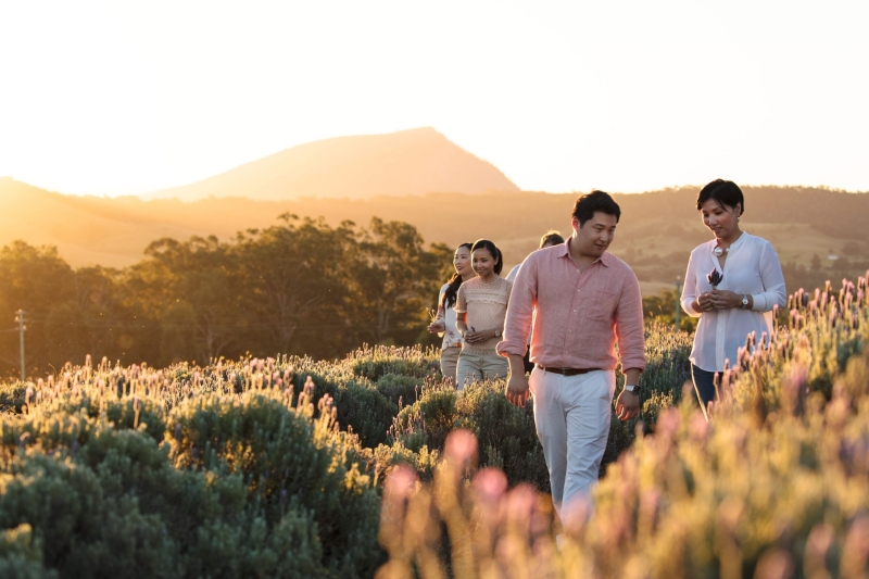 クイーンズランド州、シーニック・リム、コールーンバ・ヴィンヤーズ・アンド・ラベンダー・ファームにて、夕焼けのラベンダー畑を歩く人々 © Tourism Australia クイーンズランド州、シーニック・リム、コールーンバ・ヴィンヤーズ・アンド・ラベンダー・ファームにて、夕焼けのラベンダー畑を歩く人々 © Tourism Australia