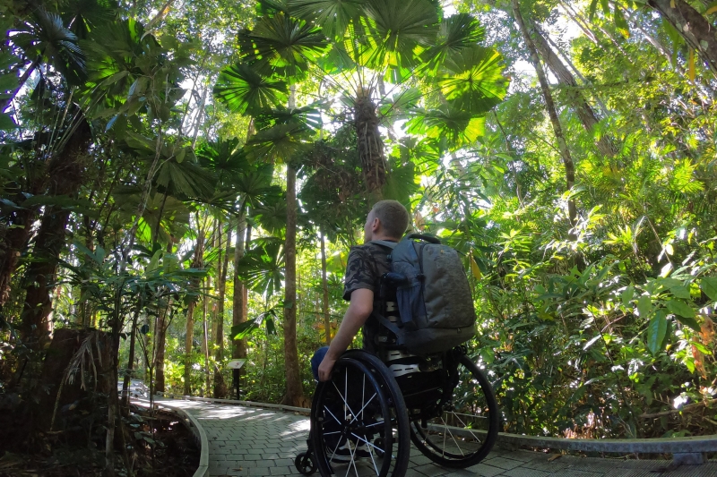 Man in a wheelchair looking up at the canopy of the Daintree Rainforest in Queensland © Tourism and Events Queensland Man in a wheelchair looking up at the canopy of the Daintree Rainforest in Queensland © Tourism and Events Queensland