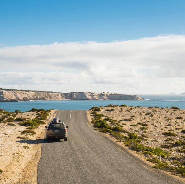 コフィン・ベイ国立公園の海沿いの道路を走る車 © Rob Blackburn/Tourism Australia コフィン・ベイ国立公園の海沿いの道路を走る車 © Rob Blackburn/Tourism Australia