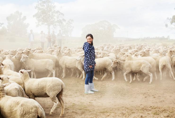タスマニア州、ハミルトン(Hamilton)、カリンガ・ファーム(Curringa Farm)© Tourism Tasmania タスマニア州、ハミルトン(Hamilton)、カリンガ・ファーム(Curringa Farm)© Tourism Tasmania
