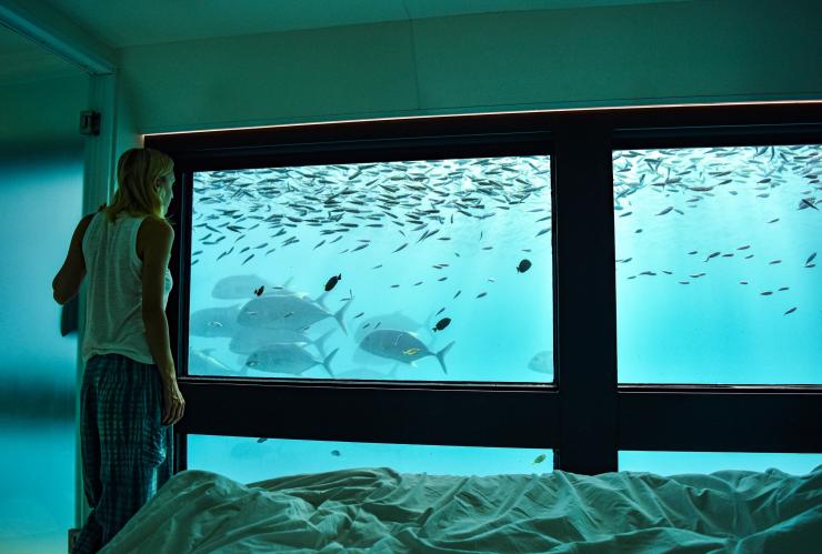 クイーンズランド州、ウィットサンデー諸島、クルーズ・ウィットサンデーズのリーフ・スイートの客室 © Cruise Whitsundays クイーンズランド州、ウィットサンデー諸島、クルーズ・ウィットサンデーズのリーフ・スイートの客室 © Cruise Whitsundays