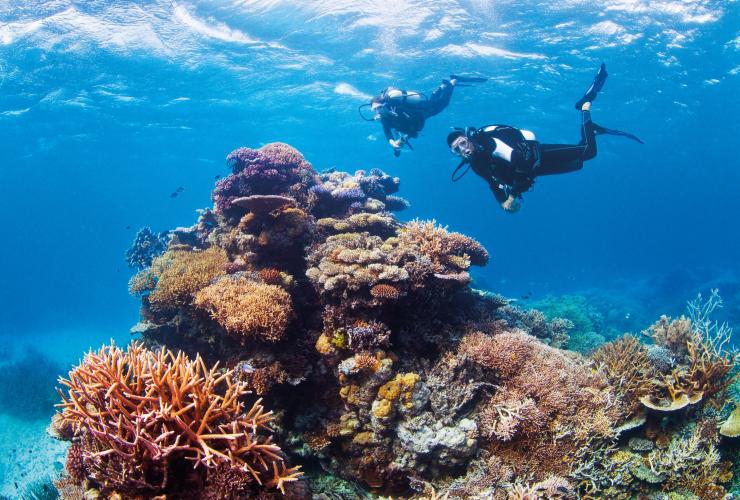クイーンズランド州、グレート・バリア・リーフ、リボン・リーフ、チャレンジャー・ベイ © Tourism and Events Queensland, Darren Jew クイーンズランド州、グレート・バリア・リーフ、リボン・リーフ、チャレンジャー・ベイ © Tourism and Events Queensland, Darren Jew