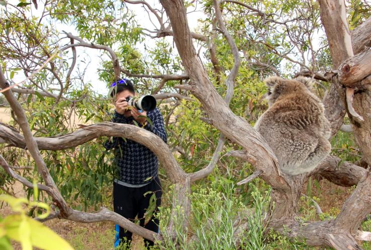 南オーストラリア州、エア半島、ポート・リンカーン、オーストラリアン・コースタル・サファリ © Australian Coastal Safaris