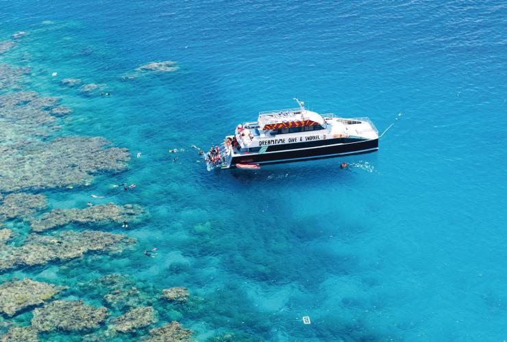 クイーンズランド州、グレート・バリア・リーフ、ドリームタイム・ダイブ・アンド・シュノーケル © Davey Houlton, Dreamtime Dive and Snorkel クイーンズランド州、グレート・バリア・リーフ、ドリームタイム・ダイブ・アンド・シュノーケル © Davey Houlton, Dreamtime Dive and Snorkel