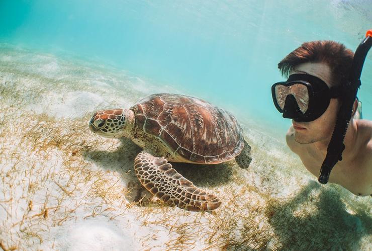 クイーンズランド州、リザード島、シュノーケル © Tourism Australia クイーンズランド州、リザード島、シュノーケル © Tourism Australia