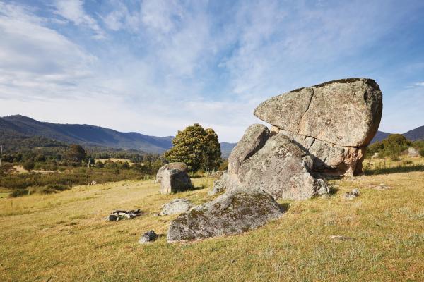 オーストラリア首都特別地域、キャンベラ、ティドビンビラ自然保護区（Tidbinbilla Nature Reserve）© Stuart Miller